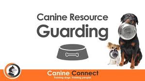 We did not find results for: Paint Your Pet Studio Vino Holden Hill Littlehampton July 17 2021 Allevents In