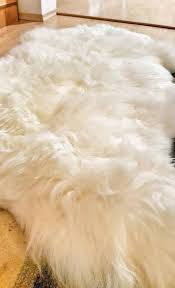 Sheepskin rugs can be taken to the dry cleaners, but this can be expensive. Giant Sheepskin Rug White Genuine Sheepskin Throw Large Rug Etsy Sheepskin Rug Sheepskin Throw Rugs