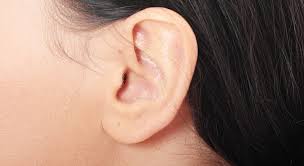 If necessary, you can place an ice pack on the ears, which may help to alleviate pain and reduce swelling, therefore speeding up the recovery period. Earlobe Deformities