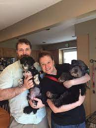 Adopt a pet at our four pet adoption centers in madison, janesville, fitchburg and sun prairie. Pets For Adoption At Fluffy Dog Rescue In Hartland Wi Petfinder