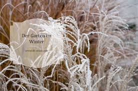 Äste häckseln, kleinschneiden, als mulch verwenden. Muss Man Den Garten Winterfest Machen Winterfiter Garten