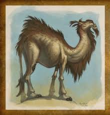 Комментарий от versutia got my camels today but the feat of strength friendly alpaca is a level 50 npc that can be found in uldum. Camel Wowwiki Fandom