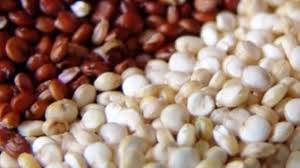 Protein ibarat menjadi suatu mesin dari semua makhluk hidup baik mulai dari kehidupan virus, bakteri, hewan, tumbuhan, hingga kehidupan manusia. 20 Makanan Pembentuk Otot Tubuh Pria Paling Cepat Halosehat