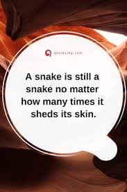 Fake People Quotes Images Some People Think That The Truth Can Be Hidden With A Little Cover U Fake People Quotes Phony People Quotes Fake Relationship Quotes