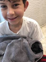 Kittens in need of rescue and care