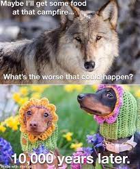 What S The Worst That Could Happen