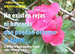 Amplia coleccion de originales mensajes cristianos de pesame,frases de pesame,frases de condolencias cristianas,condolencias cristianas,palabras de categoria :palabras condolencias cristianas. Frases Cristianas De Consuelo Bendicion Y Convencimiento