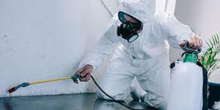 Residential Pest Treatment