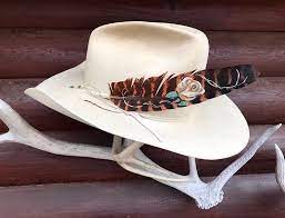 Pin On Hat Feathers