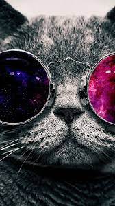 Its not in my photos. 20 Cool Hd Iphone Wallpapers