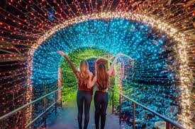 With limited capacity and masks/social distancing required. Holiday Lights At Atlanta Botanical Gardens Tripping With My Bff