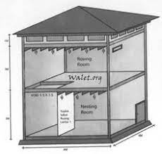 We did not find results for: 41 Rumah Burung Walit Ideas Burung Walit Reka Bentuk Landskap Sarang Burung