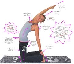 This type of physical preparation, a part of the camel's natural adaptation for. Asana Tip Sheet 5 Ardha Ustrasana Blissful Yogini Yoga Teacher Resources And Inspiration