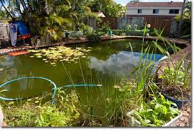 All over the internet, broken hot tubs have been turned into everything from koi fish ponds to dog houses. Convert Your Eco Unfriendly Swimming Pool Into A Biologically Active And Attractive Fish Farm The Permaculture Research Institute