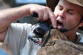 Brevard Wildlife Corridor Expedition