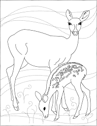 Hello and welcome to the fantastic world of deer coloring pages. Drawing Deer 2601 Animals Printable Coloring Pages