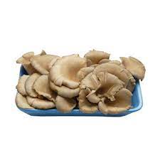 Mantar Istiridye 300 Gr