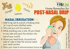 Home Remedies For Post Nasal Drip Top 10 Home Remedies Post Nasal Drip Remedy Sinus Remedies Remedies