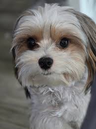 What yall thinking 🤔 I love these