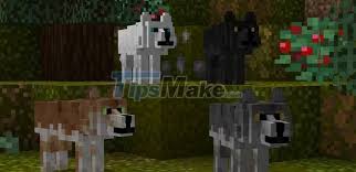 Thanks to minecraft's amazing modding community, . Top 10 Most Dangerous Monsters In Minecraft