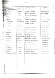 Image result for Myrica kandtiana