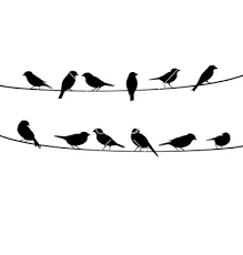 Birds On Wire Background Vector Art Download Vectors 1823266 Silhouette Art Bird Silhouette Bird Stencil