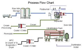 15 Judicious Milk Process