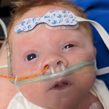 Fundraiser by Kevin Topscher : Help Rowan's Mommy and Daddy