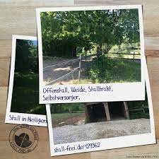 offenstall mit weide in heiligenhaus zu verpachten stalle stall frei pferdestalle