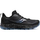 Peregrine ICE+ Saucony
