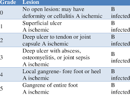 Image result for IDSA Diabetic Foot Wound Classification