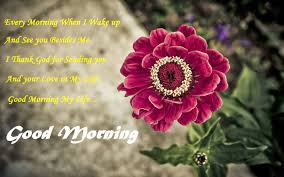 79 good morning images with flowers | have a beautiful day! Good Morning Flowers Wallpapers Wallpaper Cave