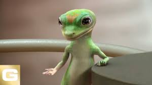 His delivery and enthusiasm over what is essentially an inside joke that has run its course with everyone but him in this make believe office is the star. Why Why Must You Be A Dissapointment Gecko Tv Ads Geico