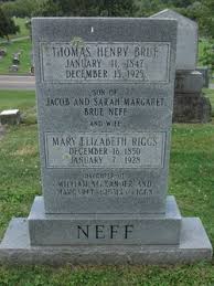 Mary Elizabeth Riggs Neff (1850-1928)