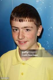 33 Dolphin Tale In 3d Screening Stock Photos, High-Res Pictures, and Images 