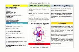 Key Words Grid For The Cardiovascular System Sentence Starters Useful For 6 7 8 Mark Questi Sentence Starters Cardiovascular System Words To Describe Yourself