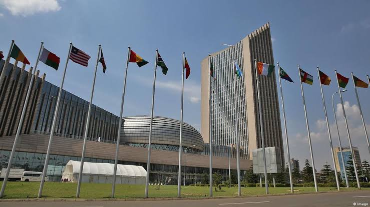 African Union Suspends Burkina Faso Over Military Coup – Arise News