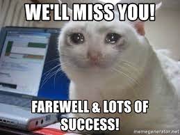 Well, firstly, the meme's virality is due to simple happenstance, of course. We Ll Miss You Farewell Lots Of Success Crying Cat Meme Generator