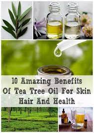 10 Amazing Benefits Of Tea Tree Oil For Skin Hair And Health