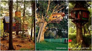 Design the interior like a boat. 37 Diy Tree House Plans That Dreamers Can Actually Build