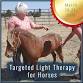 Targeted Light Therapy for Horses March 2026 event image