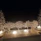 Fused Glass Trees event in Muncy, PA