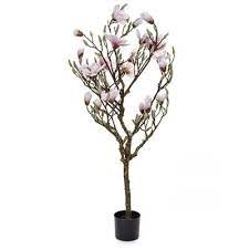 Buy the best and latest magnolia artificial flowers on banggood.com offer the quality magnolia artificial flowers on sale with worldwide free shipping. Artificial Silk Magnolia Tree Just Artificial