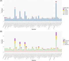 Image result for Elatostema welwitschii