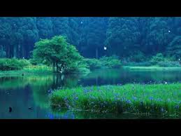 En este canal encontrarás una amplia variedad de canciones diferentes. Musica Para Dormir Rapido E Relaxar Profundamente Musica Relaxante Musica Para Dormir Youtube