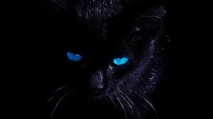 Black Cat Street Design Painting Gatos