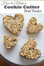 How To Make A Cookie Cutter Bird Feeder A Simple Diy Garden Project Bird Feeders For Kids To Make Birds For Kids Bird Feeder Craft