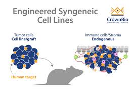 Search cell lines by cancer type: Applications And Benefits Of Engineered Syngeneic Cell Lines
