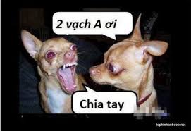 Kết quả hình ảnh cho hình  về tình