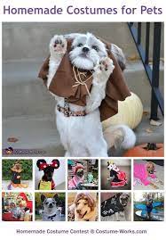 Pin On Animals